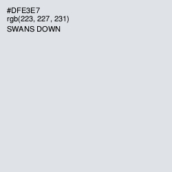 #DFE3E7 - Swans Down Color Image